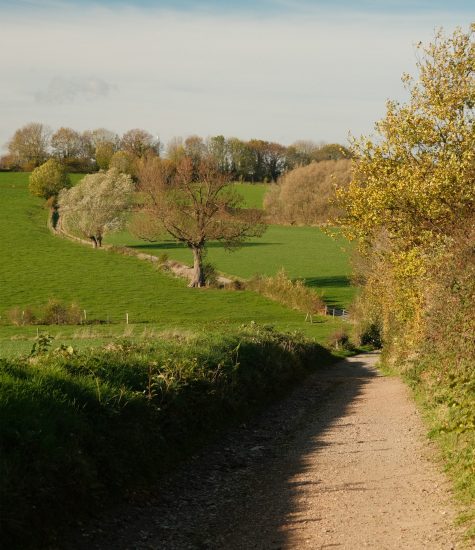 Krijtlandpad 13