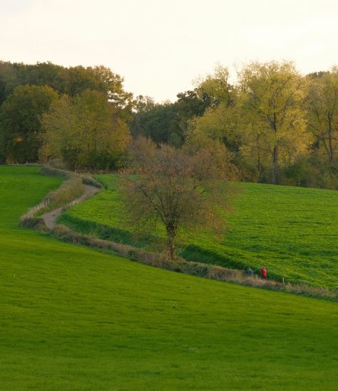 Krijtlandpad 20