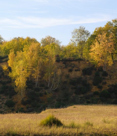 Krijtlandpad 21a