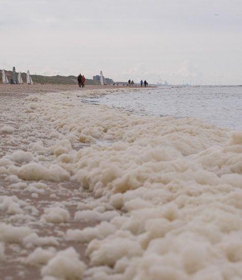 Bergen Aan Zee