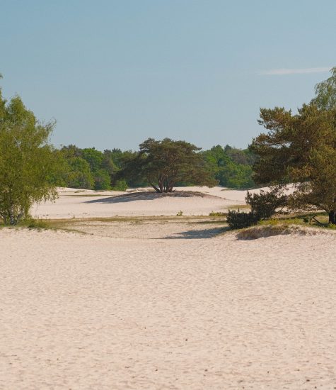 Trekvogelpad-13