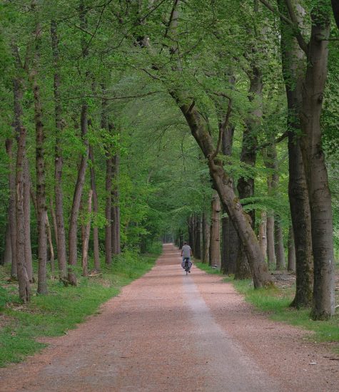 Trekvogelpad-14