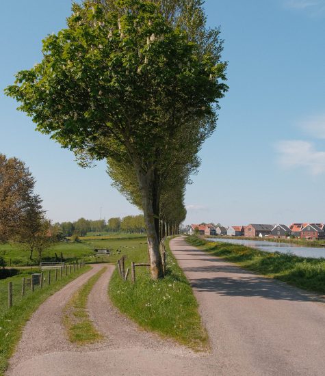 Trekvogelpad-4