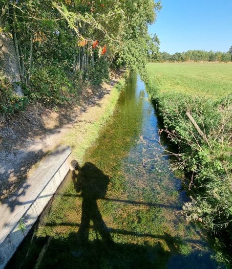 friese woudenpad 09