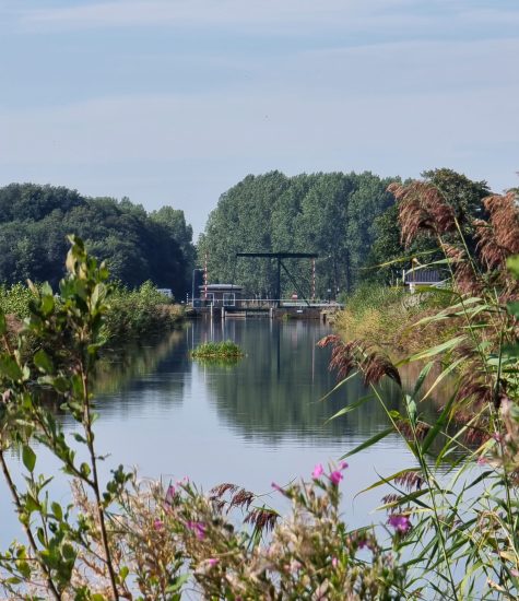 friese woudenpad 12