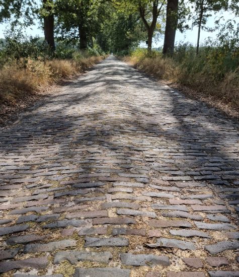 friese woudenpad 13