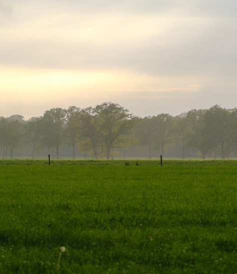 pieterpad 09